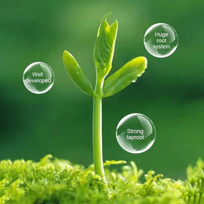 All-purpose Rooting Solution for All Plants All Purpose Plant Nutrient Solution Amino Acid Plant Seed Growth Supplement