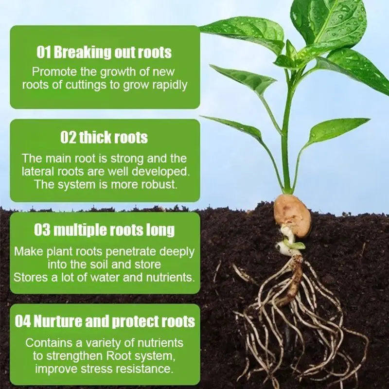 All-purpose Rooting Solution for All Plants All Purpose Plant Nutrient Solution Amino Acid Plant Seed Growth Supplement