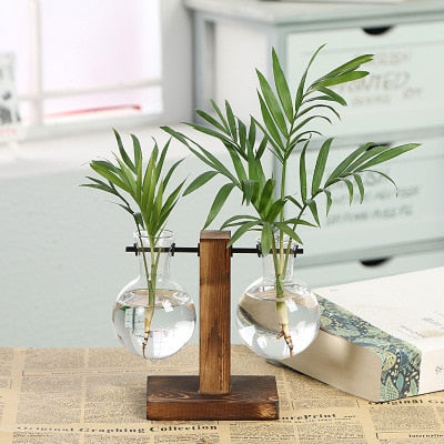 Hydroponic Transparent Plant VasesLooking for a stylish way to show off your plants? Check out our Hydroponic Transparent Plant Vases! Made of high-quality materials, these vases are perfect for showHydroponic Transparent Plant Vases