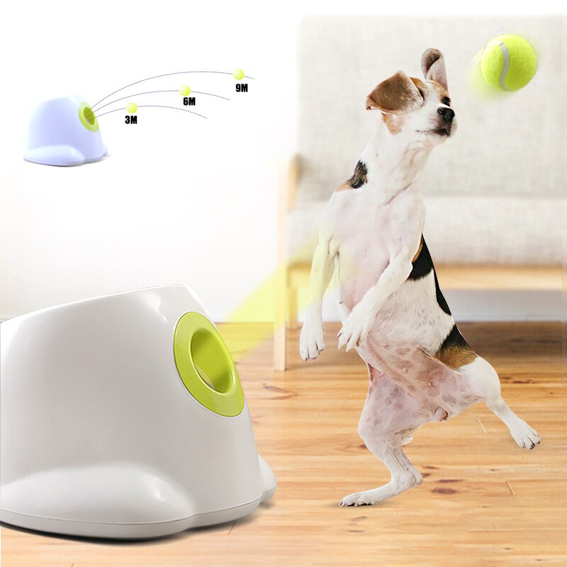 Dog pet Tennis LauncherâPlay fetch with your pup without having to do any work! This automatic ball launcher launches the balls for you while keeping your dog entertained!
This launcher Dog pet Tennis Launcher