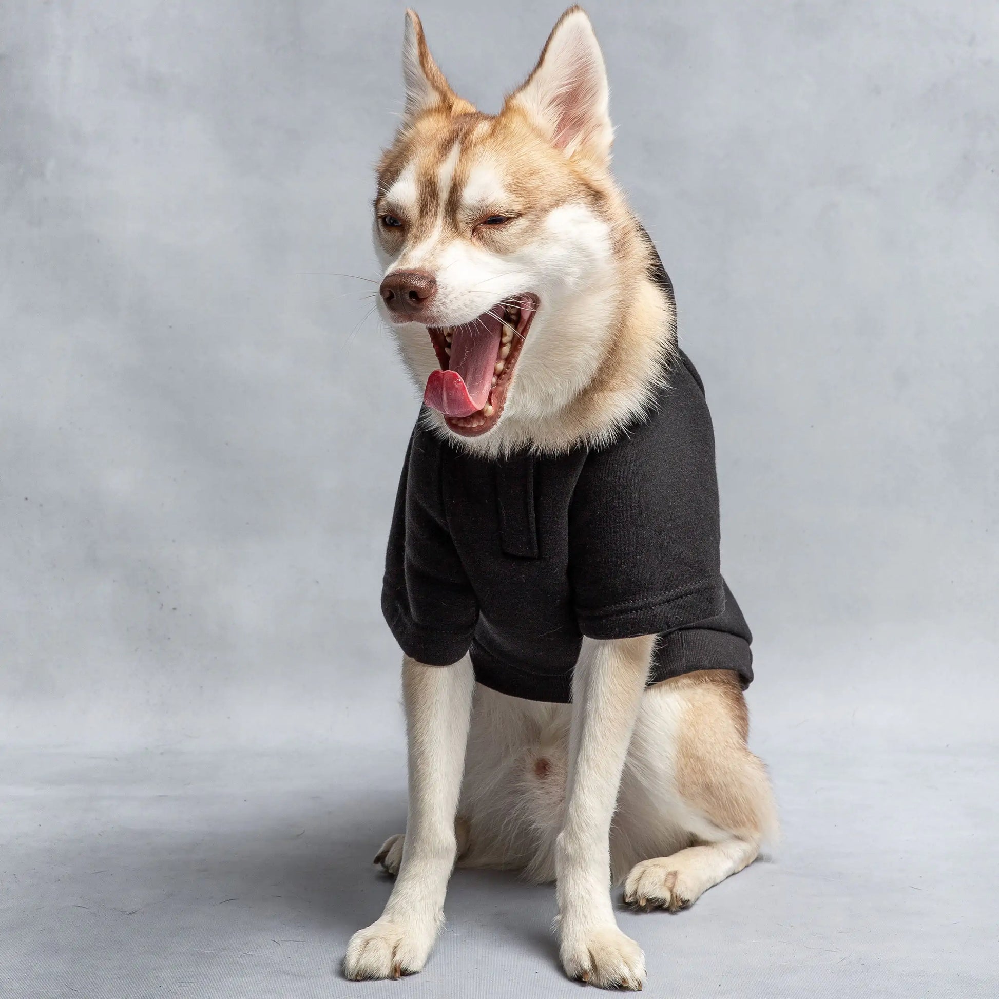 Hooded Dog FleeceOfficial licensed US Army® Dog Hoodie will make your dog the coolest in the hood.  This snuggly short-sleeved fleece has a front 1/2 velcro for easy slip-on, an adorHooded Dog Fleece