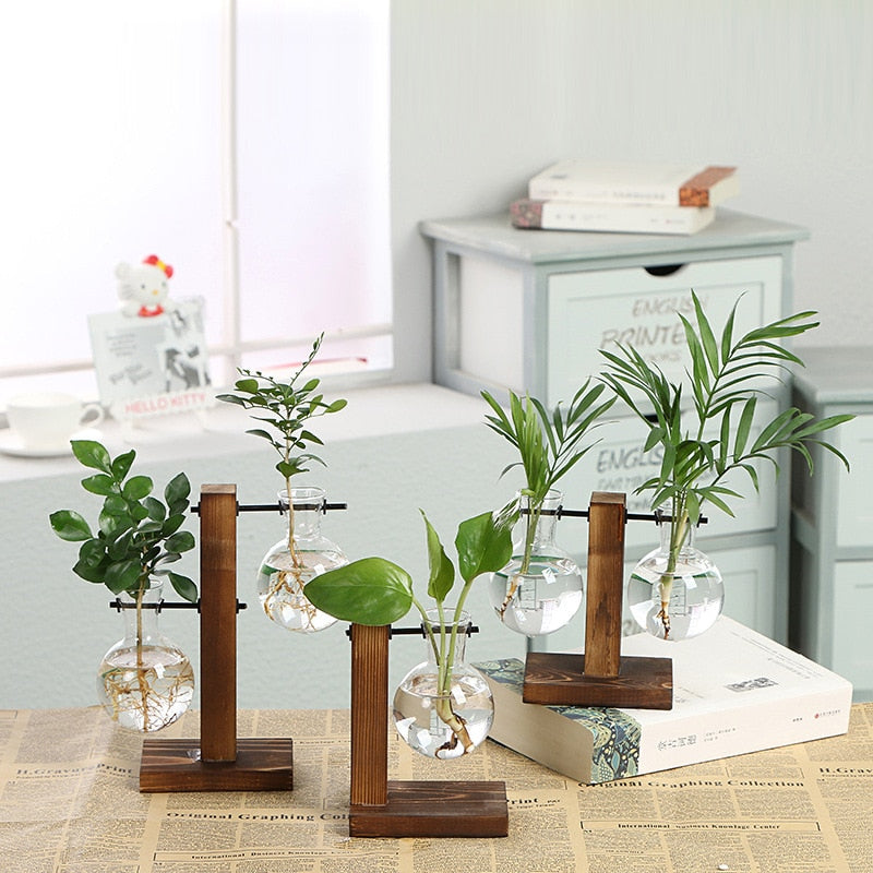 Hydroponic Transparent Plant VasesLooking for a stylish way to show off your plants? Check out our Hydroponic Transparent Plant Vases! Made of high-quality materials, these vases are perfect for showHydroponic Transparent Plant Vases