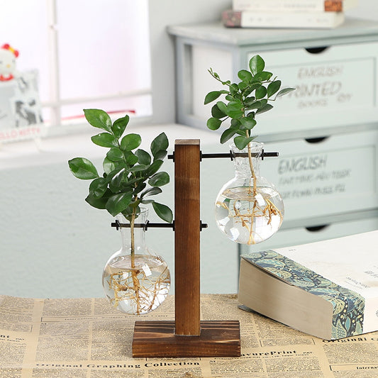 Hydroponic Transparent Plant VasesLooking for a stylish way to show off your plants? Check out our Hydroponic Transparent Plant Vases! Made of high-quality materials, these vases are perfect for showHydroponic Transparent Plant Vases