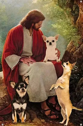 Jesus Chihuahua Lover Wall DecorElevate your space with our Jesus Chihuahua Dog Vintage Metal Aluminum Sign, a charming blend of faith, style, and canine love. Perfect for adding a touch of personaJesus Chihuahua Lover Wall Decor